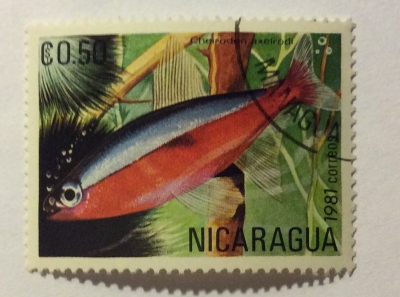 Почтовая марка Никарагуа (Nicaragua correos) Cardinal Tetra (Cheirodon axelrodi) | Год выпуска 1981 | Код каталога Михеля (Michel) NI 2208
