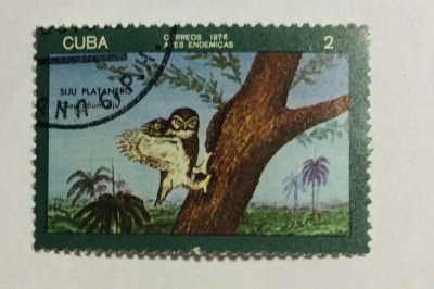 Почтовая марка Куба (Cuba correos) Cuban Pygmy Owl (Glaucidium siju) | Год выпуска 1976 | Код каталога Михеля (Michel) CU 2145