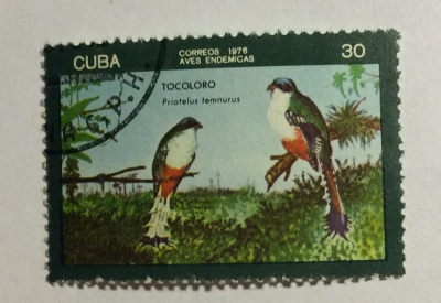 Почтовая марка Куба (Cuba correos) Cuban Trogon (Priotelus temnurus) | Год выпуска 1976 | Код каталога Михеля (Michel) CU 2149