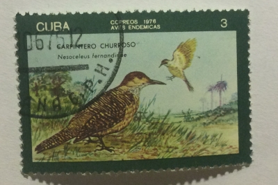 Почтовая марка Куба (Cuba correos) Cuban Flicker (Colaptes fernandinae) | Год выпуска 1976 | Код каталога Михеля (Michel) CU 2146