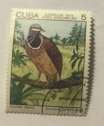 Почтовая марка Куба (Cuba correos) Blue-headed Quail-dove (Starnoenas cyanocephala) | Год выпуска 1975 | Код каталога Михеля (Michel) CU 2060