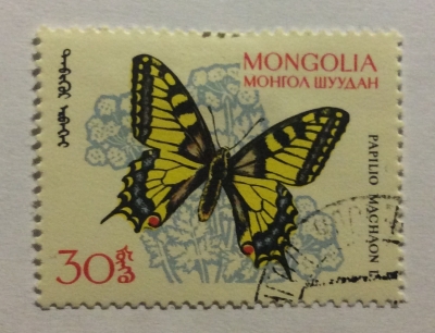 Почтовая марка Монголия - Монгол шуудан (Mongolia) Swallowtail (Papilio machaon) | Год выпуска 1963 | Код каталога Михеля (Michel) MN 340