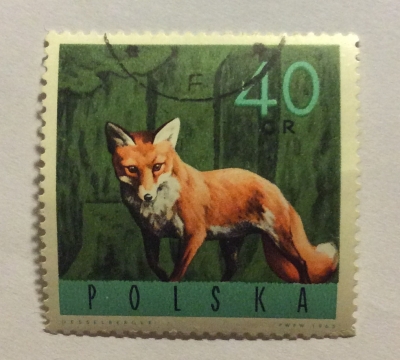 Почтовая марка Польша (Polska) Red Fox (Vulpes vulpes) | Год выпуска 1965 | Код каталога Михеля (Michel) PL 1637