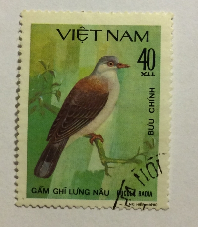 Почтовая марка Вьетнам (Vietnam) Mountain Imperial-pigeon (Ducula badia) | Год выпуска 1981 | Код каталога Михеля (Michel) VN 1167