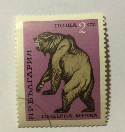 Почтовая марка Болгария (НР България) Cave Bear | Год выпуска 1971 | Код каталога Михеля (Michel) BG 2089