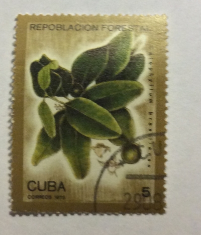 Почтовая марка Куба (Cuba correos) Hibiscus tiliaceus | Год выпуска 1975 | Код каталога Михеля (Michel) CU 2068