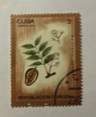 Почтовая марка Куба (Cuba correos) Calophyllum brasiliense | Год выпуска 1975 | Код каталога Михеля (Michel) CU 2067
