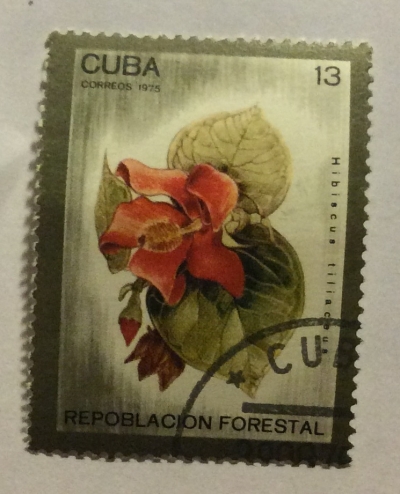 Почтовая марка Куба (Cuba correos) Swietenia mahagoni | Год выпуска 1975 | Код каталога Михеля (Michel) CU 2066