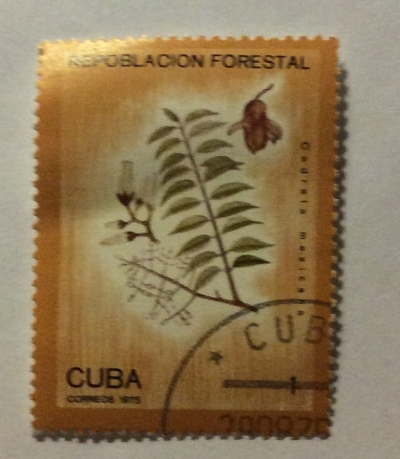 Почтовая марка Куба (Cuba correos) Cedrela mexicana | Год выпуска 1975 | Код каталога Михеля (Michel) CU 2065