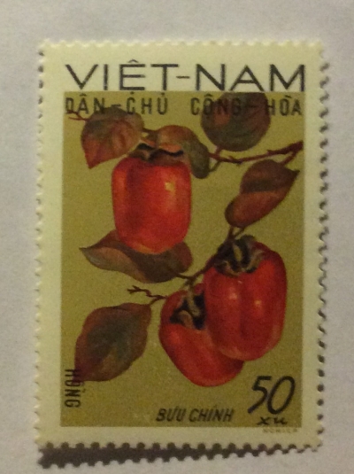 Почтовая марка Вьетнам (Vietnam) Persimmons (Diospyros virginiana) | Год выпуска 1969 | Код каталога Михеля (Michel) VN 593