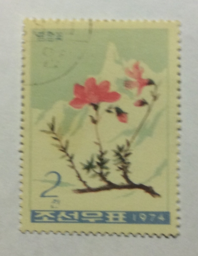 Почтовая марка КНДР (Корея) Rhododendron redowskianum | Год выпуска 1974 | Код каталога Михеля (Michel) KP 1304