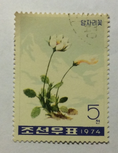 Почтовая марка КНДР (Корея) Mountain avens (Dryas octopetala) | Год выпуска 1974 | Код каталога Михеля (Michel) KP 1305