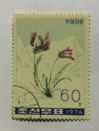 Почтовая марка КНДР (Корея) Oxytropis anertii. | Год выпуска 1974 | Код каталога Михеля (Michel) KP 1309