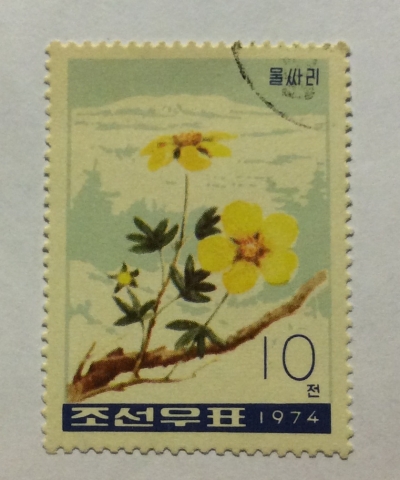 Почтовая марка КНДР (Корея) Shrubby cinquefoil (Potentilla fruticosa) | Год выпуска 1974 | Код каталога Михеля (Michel) KP 1306
