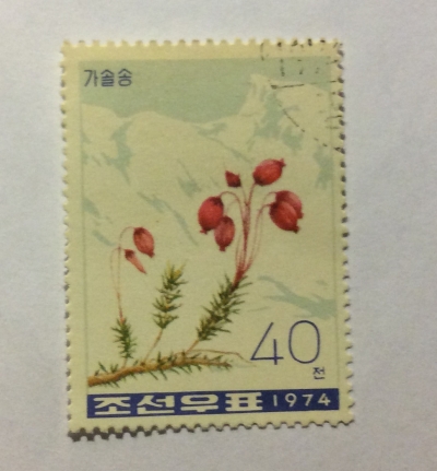 Почтовая марка КНДР (Корея) Purple mountain heather (Phyllodoce caerulea) | Год выпуска 1974 | Код каталога Михеля (Michel) KP 1308