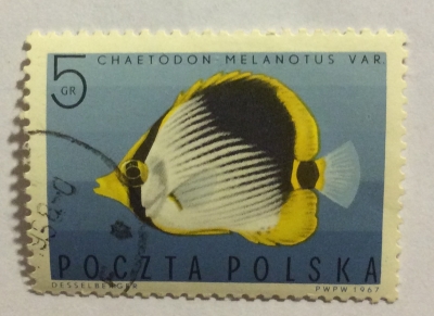 Почтовая марка Польша (Polska) Blackback Butterflyfish (Chaetodon melanotus) | Год выпуска 1967 | Код каталога Михеля (Michel) PL 1748