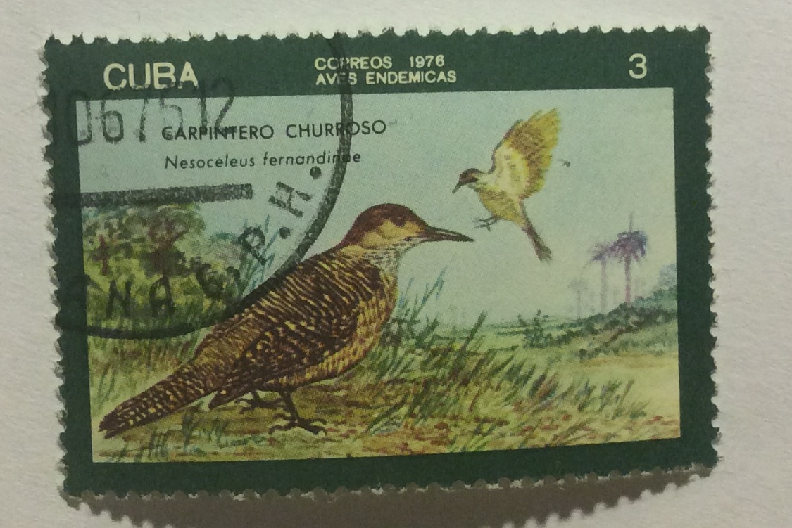 Сколько стоит марка куба. Марки Кубы птицы. Почтовые марки Кубы. Марки Cuba. Марки животные Cuba.