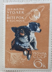 Собаки Уголек и Ветерок, находившиеся на борту ИО "Космос-110"