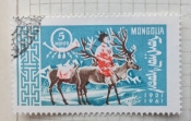 Postman on Reindeer (Rangifer tarandus)