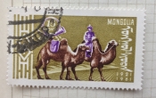 Postman on Bactrian Camel (Camelus bactrianus)