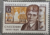 Портрет С.А. Есенина