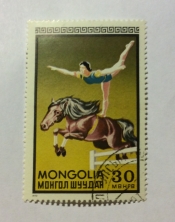 Acrobat on horse
