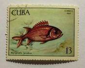 Blackbar Soldierfish (Myripristis jacobus)